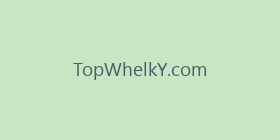 TopWhelkY.com