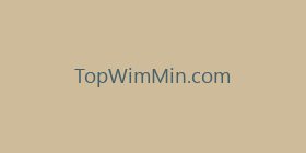 TopWimMin.com