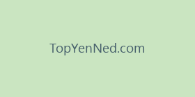 TopYenNed.com