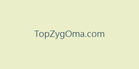 TopZygOma.com