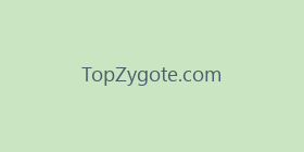 TopZygote.com
