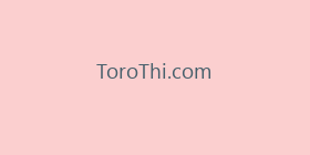 ToroThi.com