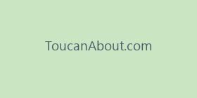 ToucanAbout.com