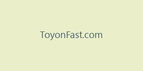 ToyonFast.com