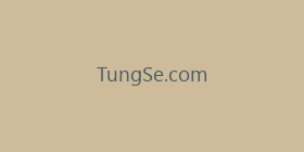 TungSe.com