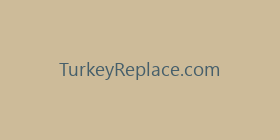 TurkeyReplace.com