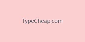 TypeCheap.com