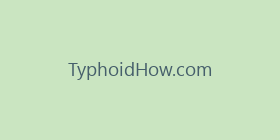 TyphoidHow.com
