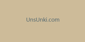 UnsUnki.com