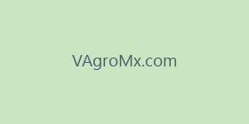 VAgroMx.com