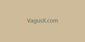 VagusX.com