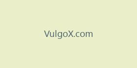 VulgoX.com