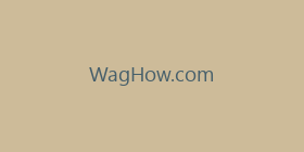 WagHow.com
