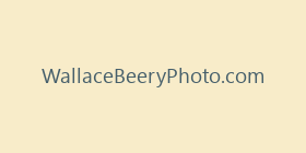 WallaceBeeryPhoto.com