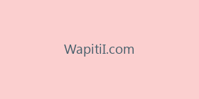 WapitiI.com