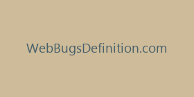 WebBugsDefinition.com
