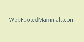 WebFootedMammals.com