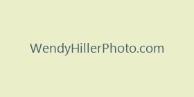 WendyHillerPhoto.com