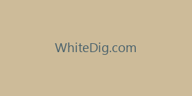 WhiteDig.com