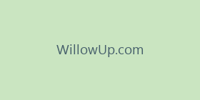 WillowUp.com