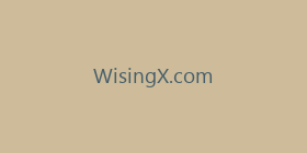 WisingX.com