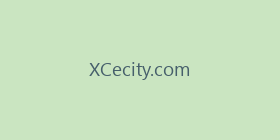 XCecity.com