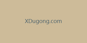 XDugong.com