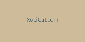 XociCat.com