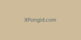 XPongid.com