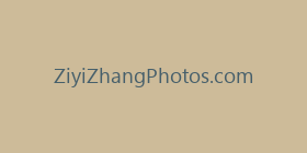 ZiyiZhangPhotos.com